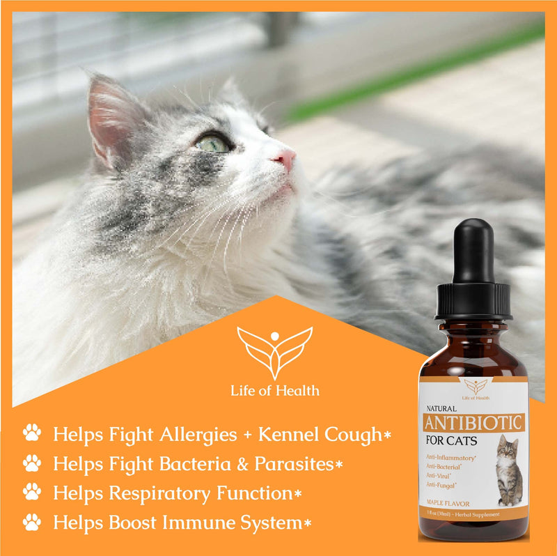 Natural Antibiotics for Cats - Cat Antibiotics - Cat Antibiotic - Pet Antibiotics - Cat Immune Support - Antibiotic for Cats - Cat Multivitamin - Cat UTI Antibiotics - 1 fl oz: Roast Chicken Flavor - PawsPlanet Australia