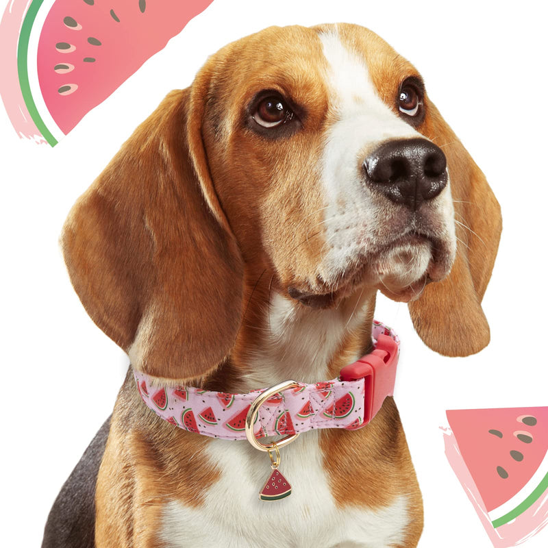 Faygarsle Cute Dog Collar for Girls Boy Dogs Soft Fancy Pet Collar with Watermelon Design Ideal Pink Summer Dog Collar for Small Medium Large Dogs L - PawsPlanet Australia