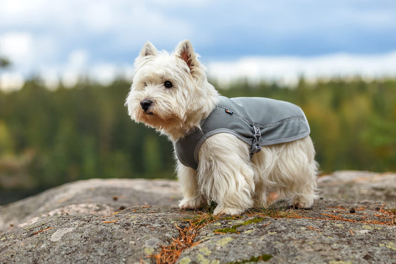 Cooling Dog Vest Silver for Heat and UV Protection Adjustable for Active Dogs of Small, Medium and Large Breeds (X-Small) X-Small (Back 10.5") - PawsPlanet Australia