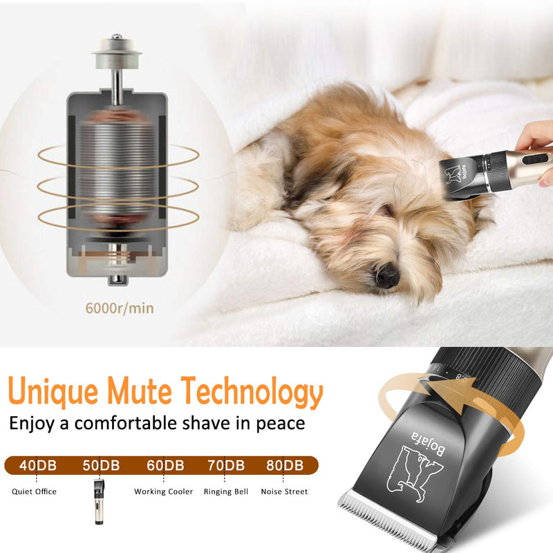 [Australia] - Bojafa Dog Grooming Clippers Kit Cordless Rechargeable Professional Pet Grooming Clippers Quiet Low Noise for Dogs Cats Hair Clippers Shaver Set Dog Grooming Kit Clippers-P6 Gold 