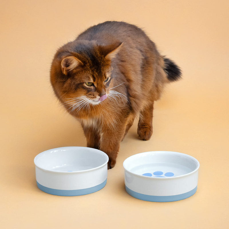 Navaris Porcelain Cat Bowls (Set of 2) - 15cm Food and Water Bowl Dishes for Pet Cats and More - With Non-Slip Silicone Bottom - Blue Paw Design - PawsPlanet Australia