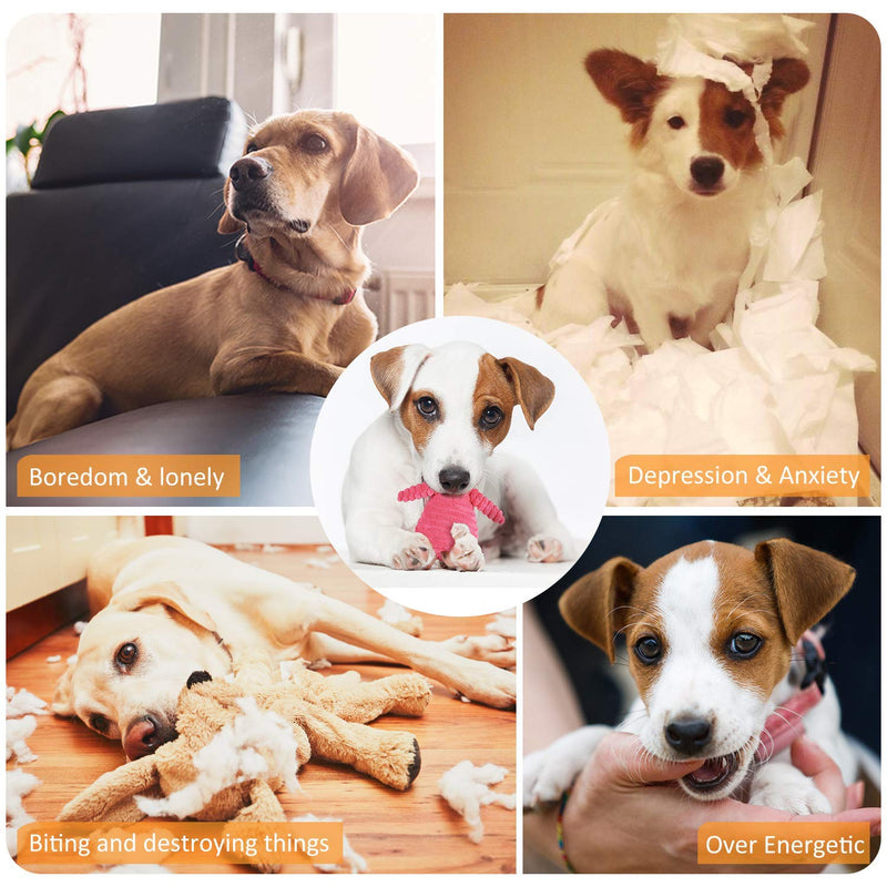 Interactive Squeaky Plush Dog Toys - TOYSBOOM Dog Toys for Small Medium Large Dogs, Tough Durable Stuffed Dog Toys for Training (Rabbit) Rabbit - PawsPlanet Australia