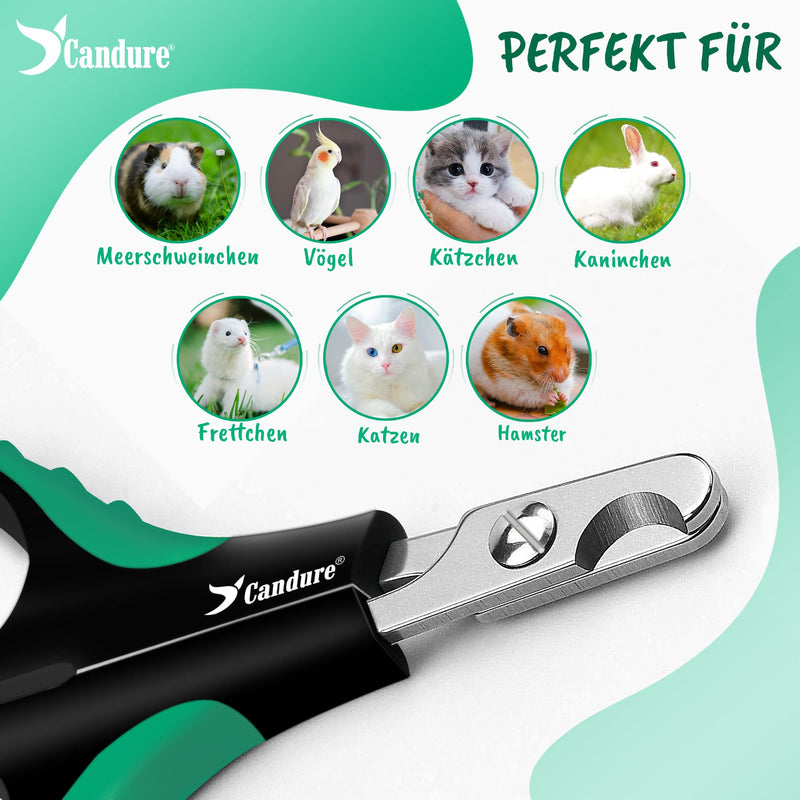 Candure Cat Nail Clippers for Pets Professional Claw Care Cat Nail Scissors for Dogs, Rabbits, Puppy, Rats - Stainless Steel Claw Trimmer with Sharpest Blades Small (XS) Dark Green - PawsPlanet Australia