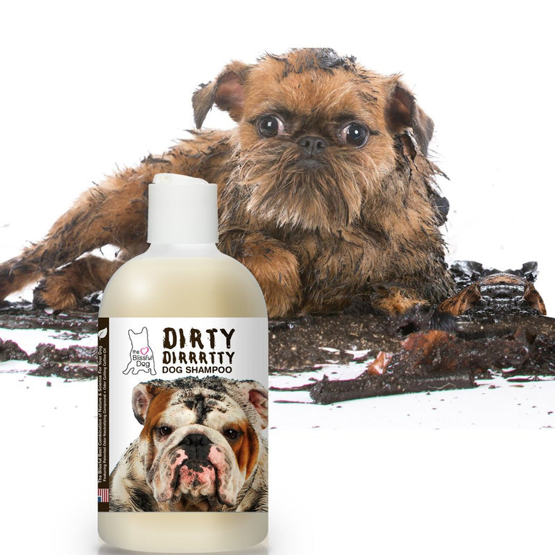 [Australia] - The Blissful Dog Dirty Dirrttty Dog Shampoo 8-Ounce 