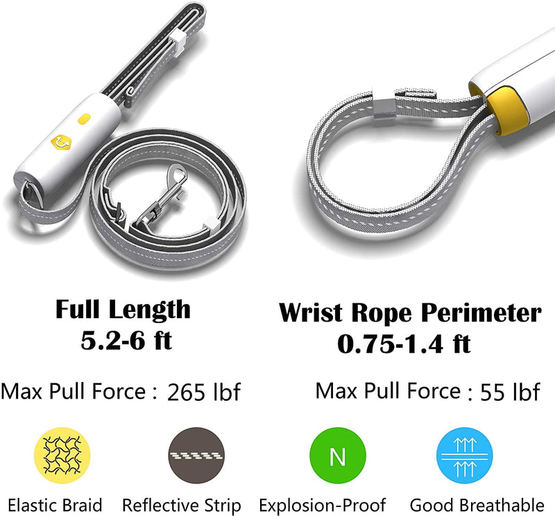 Puppy Leashes and Collar Set, Dog Lead for 8-18 inch Dogs, Length Adjustable Dog Leash with Anti-Slip and Comfortable Handle for Small and Medium Dogs. - PawsPlanet Australia