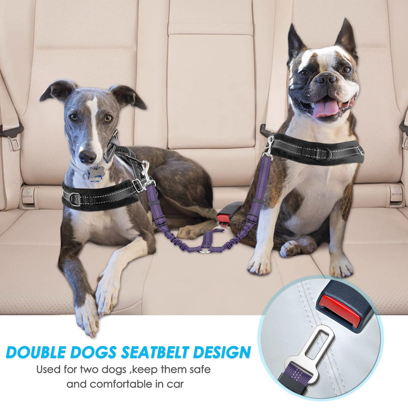 SlowTon Double Dog Seatbelt, Dual Pet Car Seat Belt Adjustable Double Dog Coupler Lead with Elastic Bungee and Reflective Stripe No Tangle Safety Belt Splitter in Vehicle for Two Pets Trip Travel  Purple double seat belt - PawsPlanet Australia