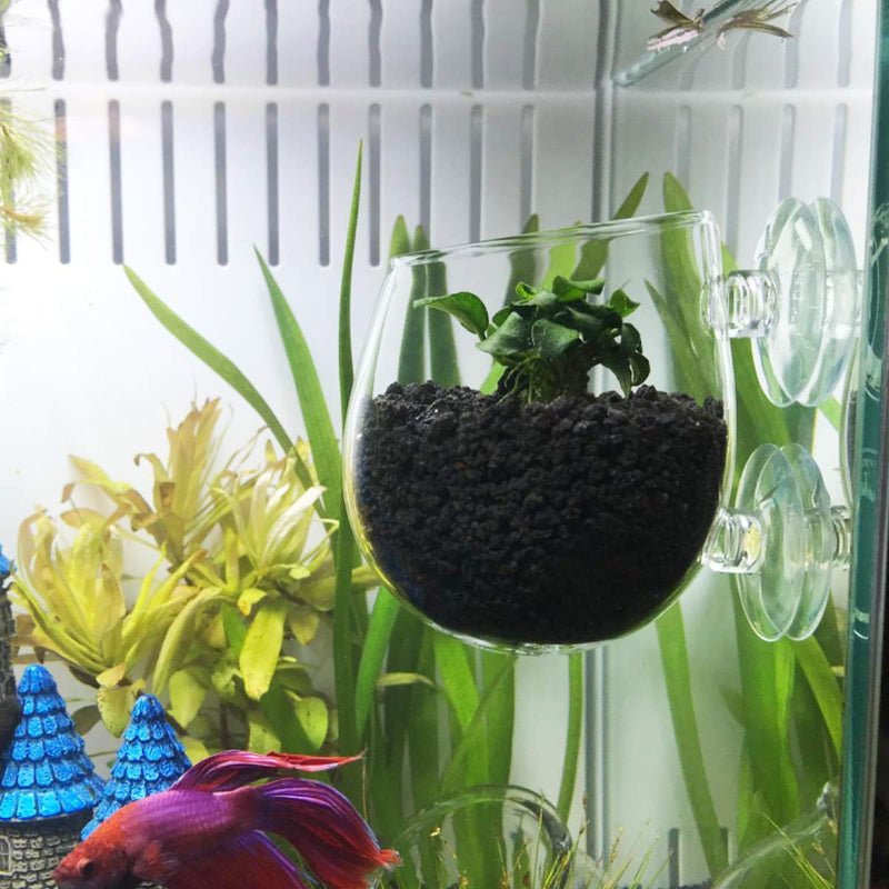 [Australia] - WEAVERBIRD Aquarium Plant Cup, Plant Pot Aquarium Decoration Aquatic Plant Cup with 2 Suction Cups for Fish Tank Plant, Glass 