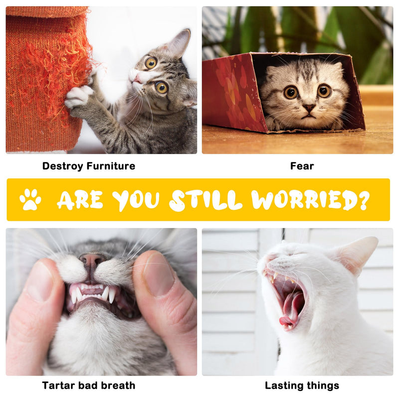 Pack of 4 cat toys hanging door frames, interactive toy set for cats, cat toys for door frames, teaser cat toy, bouncing retractable for cat run, decompression, games - PawsPlanet Australia