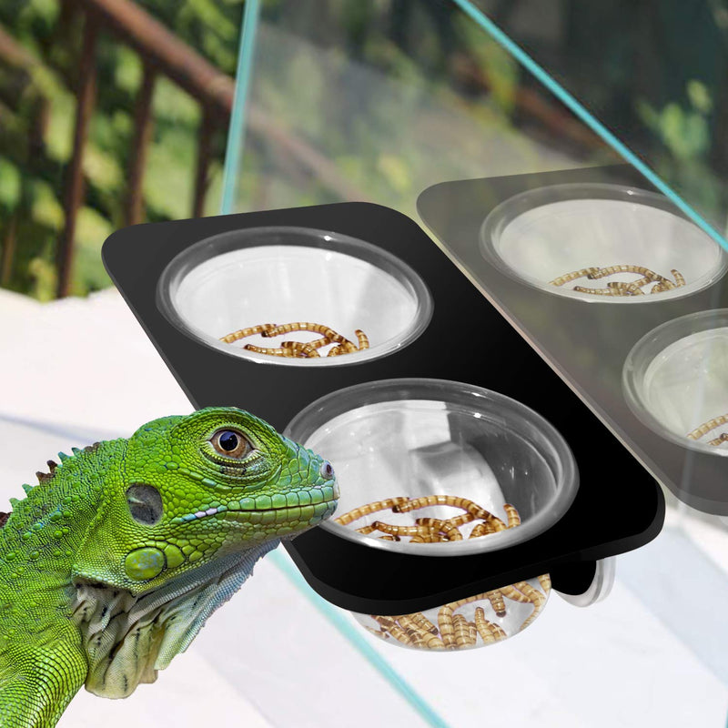 2 Bowls Gecko Feeding Ledge, Reptile Suction Cup Food Dish for Snakes Lizards Spiders Chameleons Corn Snakes Iguanas Reptiles - PawsPlanet Australia