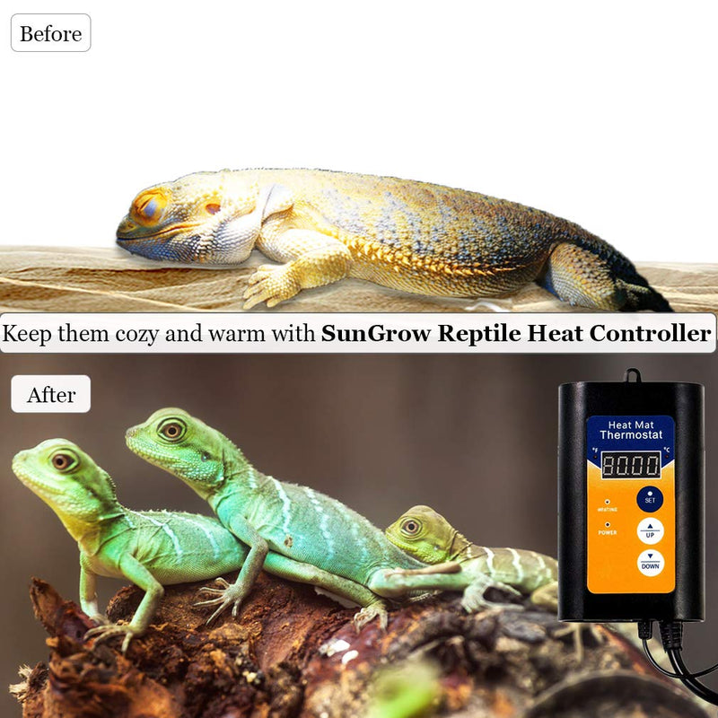 [Australia] - 1000 W Reptile Heat Controller - Digital Thermostat & Terrarium Lighting Regulator - For Germination, Fermentation, Rooting & Homebrewing - Celsius & Fahrenheit Display - Easy Plug & Set Installation 
