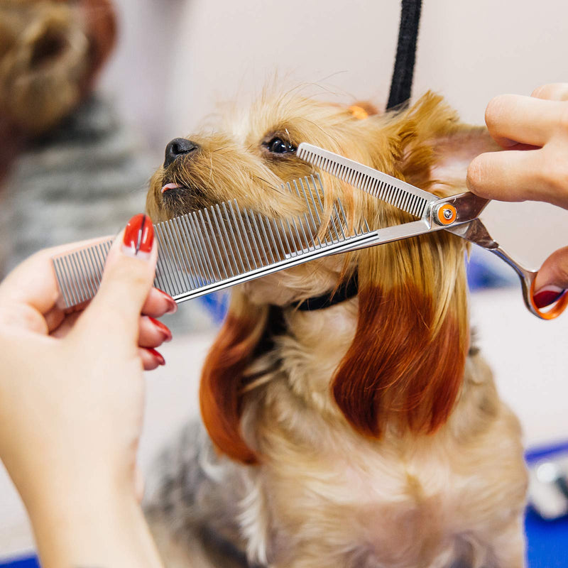 Stainless Steel Pet Comb Pet Grooming Comb Rounded Teeth Dog Comb for Large, Medium and Small Dogs and Cats with Tangled Short/Long Hair (19 x 5 cm) 19 x 5 cm (Pack of 1) - PawsPlanet Australia