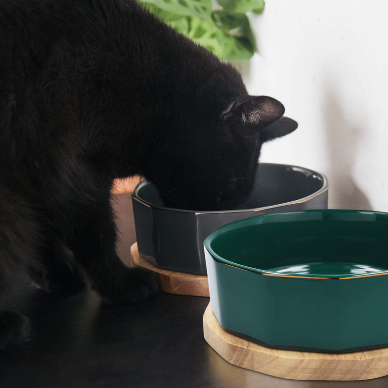 Navaris Ceramic Dog Bowl - Set of 2 800ml Water or Food Bowls for Pet Dogs and Cats with Non Slip Oak Wood Underlay - Ceramic Bowls - Grey, Petrol Dark Green - PawsPlanet Australia