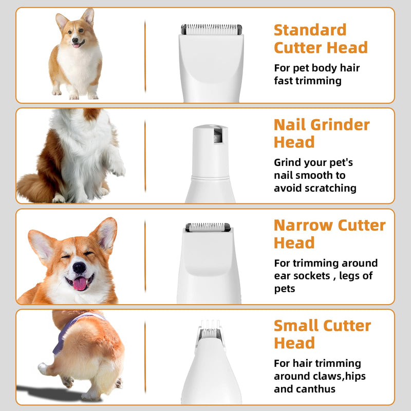Dog clippers, 4 in 1 quiet animal hair clippers, professional clippers for dogs and cats with LED display, rechargeable clippers for dogs, cats, paws, eyes, ears, face, body - PawsPlanet Australia
