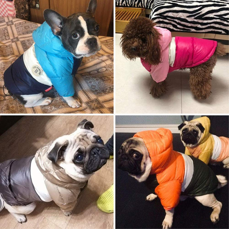 ABRRLO Winter Pet Dog Coat Down Jacket Dog Clothes Thickening 2 Legs Warm Ultra Light Puppy Pet Fashion Clothing 12-M a - PawsPlanet Australia