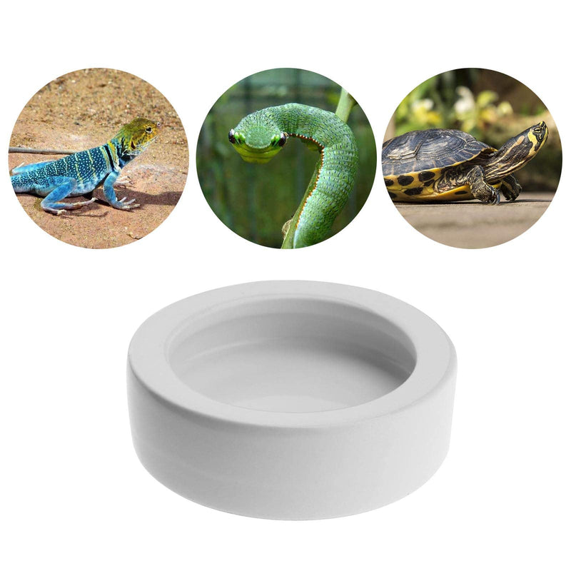 2x Reptile Bowl Worms Dish Set Curved Rim Ceramic Proof Lizard Escape 2.8 Inch White Tasteless Smooth for Spider Gecko Crabs - PawsPlanet Australia