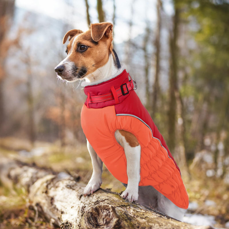 ASENKU Warm Dog Coat, Winter Dog Jacket with Harness, Waterproof Dog Coat with Belly Protection, Dog Clothing Outfit for Small Large Dogs, Warm Fleece Dog Coat, Red, L - PawsPlanet Australia