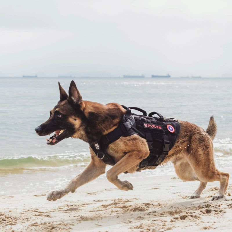 OneTigris Dog Harness, X Destroyer Tactical Harness Dog 3 Handles Heavy Duty Dog Vest with Metal Buckles - Black S - PawsPlanet Australia
