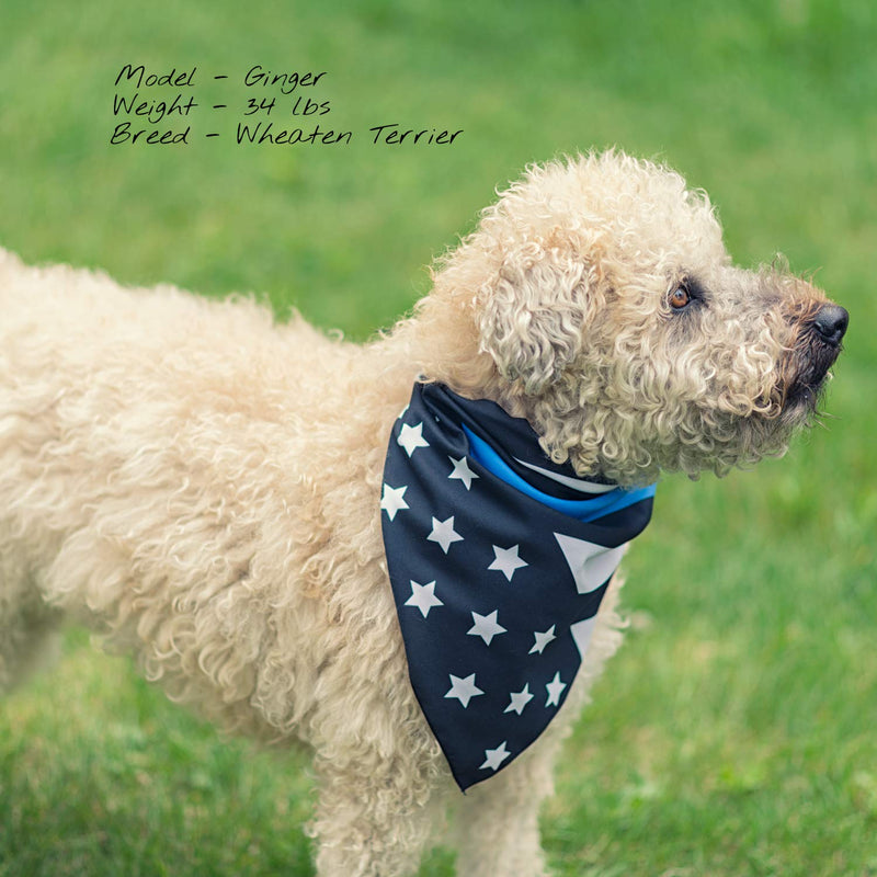 [Australia] - Thin Blue Line Dog Bandana 