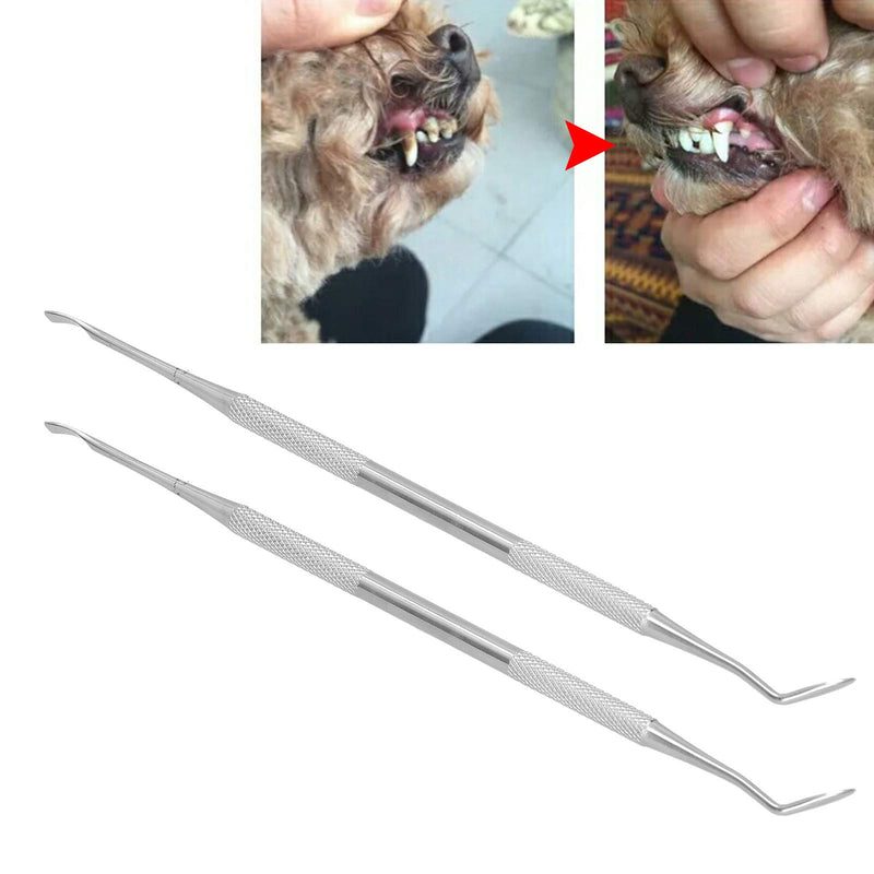 SALUTUYA 304 Stainless Steel Dog Tooth Cleaning Tool Suitable for Dogs - PawsPlanet Australia