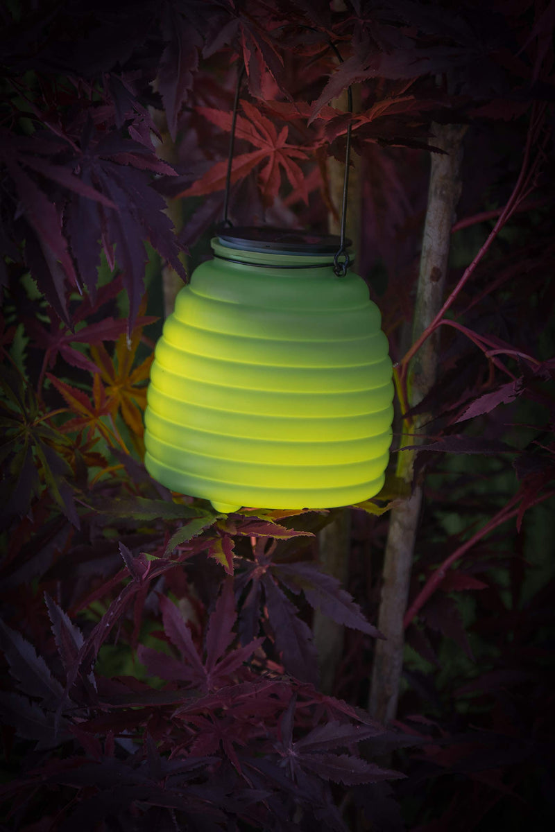 Noma Uncle Franks Wasp Catcher Light with Warm White LED, 15.5cm, One Size - PawsPlanet Australia