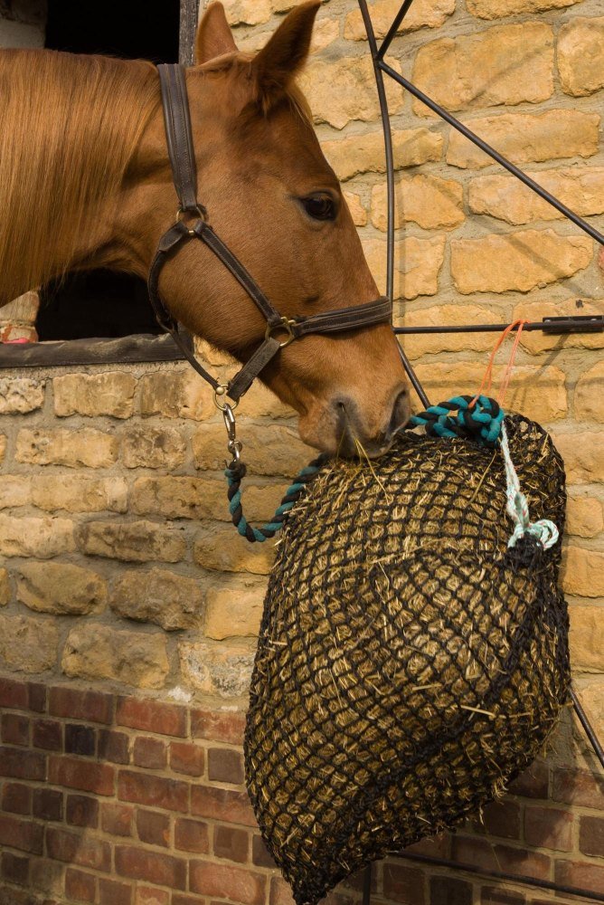 Trickle Net ® - The Most Effective and Strongest Slow Feeder Hay/Haylage Net for your Horse. Recommended by Vets for laminitis weight control or digestive disorders. Buy wise, buy once! - PawsPlanet Australia
