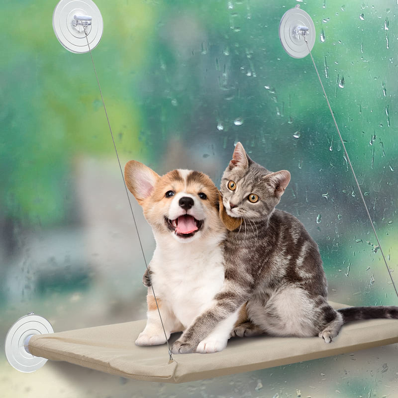 8 Pcs Suction Cups Cat Window Perch Cat Window Hammock Replacement Suction Cup for Kitty Cat Window Perches Bed Seat Hammock Pet Supplies, 2 Styles - PawsPlanet Australia