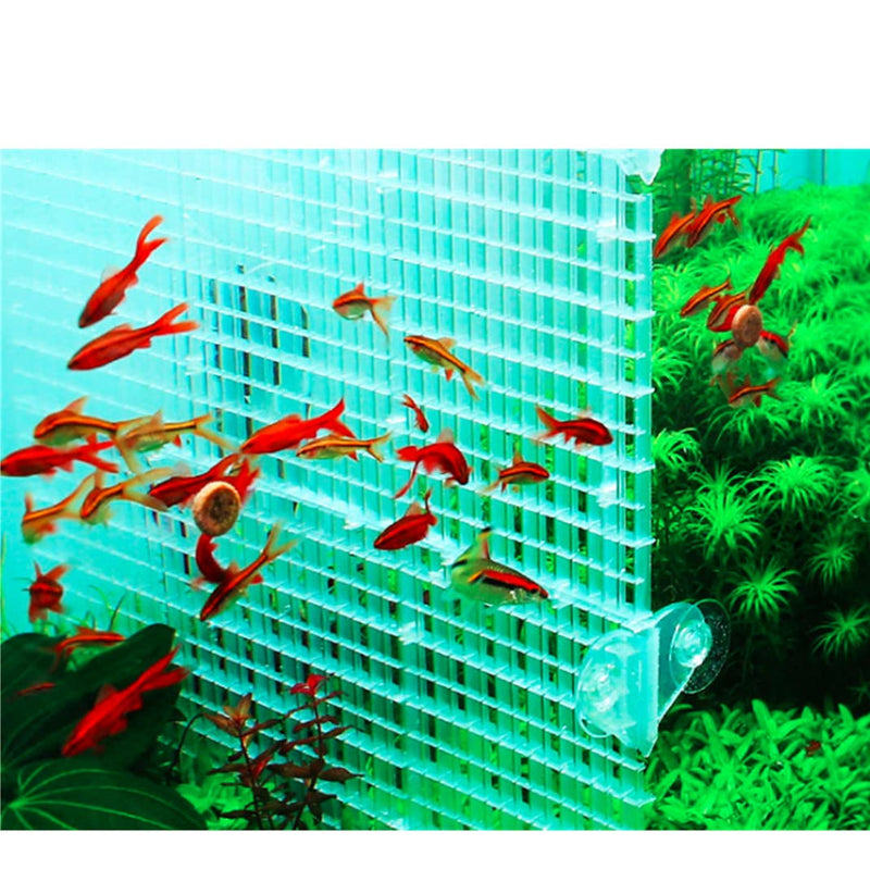 Millie 4Pcs Aquarium Fish Tank Divider Isolation Board, Grid dividers and 8 pcs Sucker Clip (White) - PawsPlanet Australia