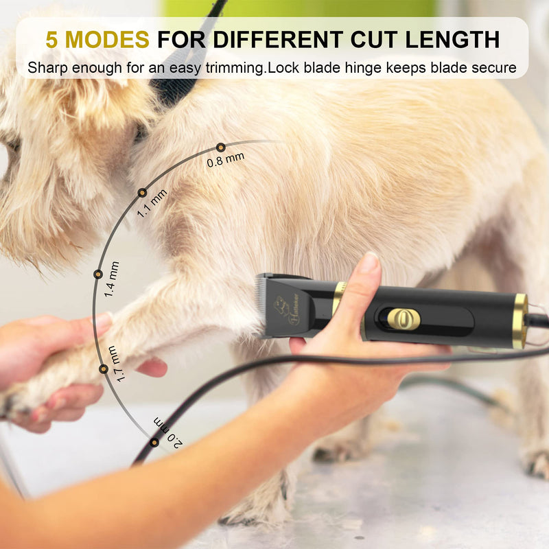 Hatteker Pet Clipper Dog Clipper Shaver Professional Electric Quiet Hair Clippers Low Noise Pet Grooming for Dogs Cats & Others - PawsPlanet Australia