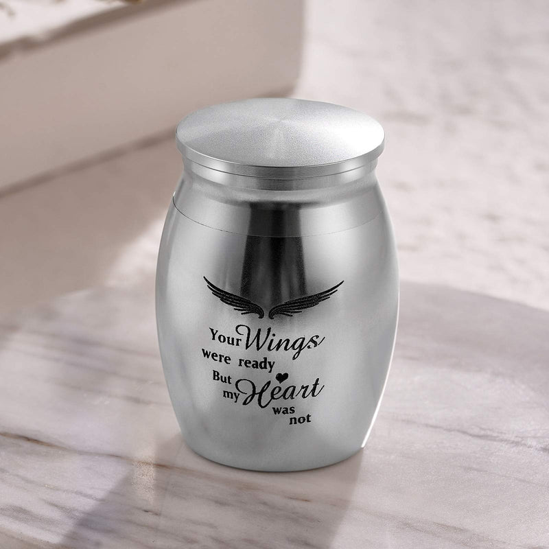 CAT EYE JEWELS Mini Tiny Keepsake Urn for Human Ashes Stainless Steel Cremation Urns Memorial Ashes Small Keepsake Ashes XS Silver Mini Silver - PawsPlanet Australia