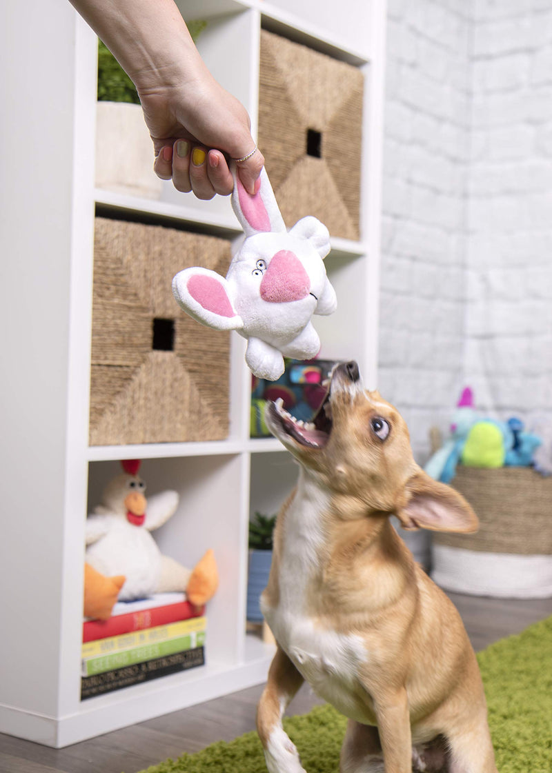 [Australia] - goDog Animals with Chew Guard Technology Durable Plush Dog Toys with Squeakers Small Big Nose Bunny 