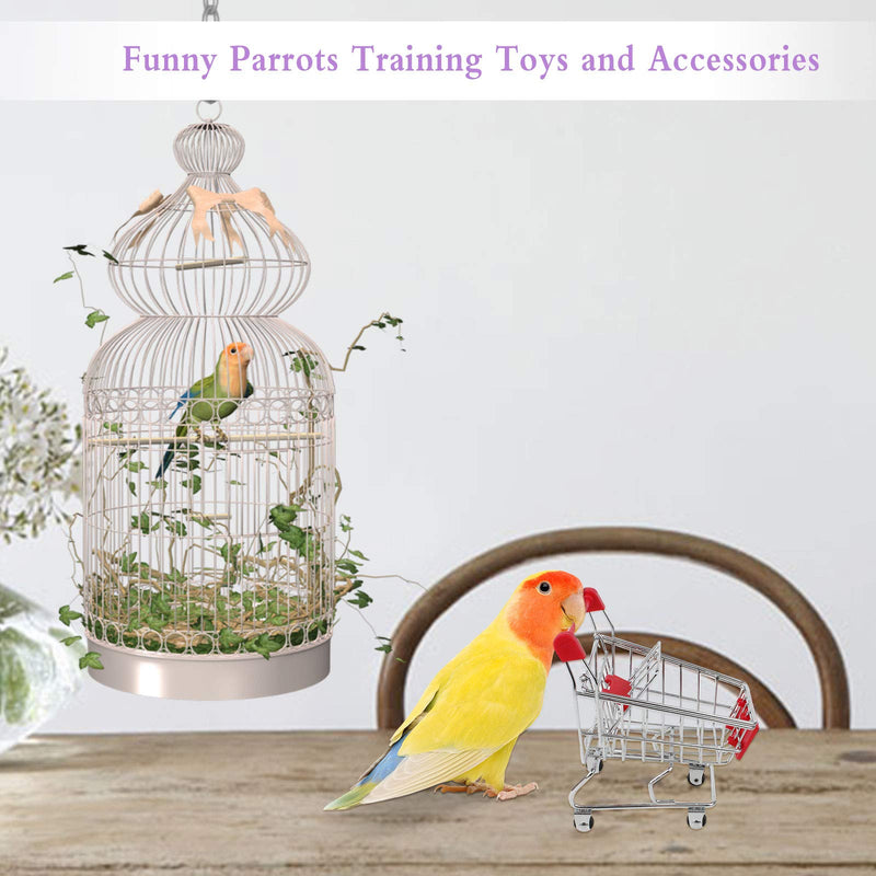 Huahao Birds Toys Parrot Toys Set, Parrots Training Toys and Accessories, Parrot Skateboard Parrot Cart Ball Ferrule - Random Color - PawsPlanet Australia