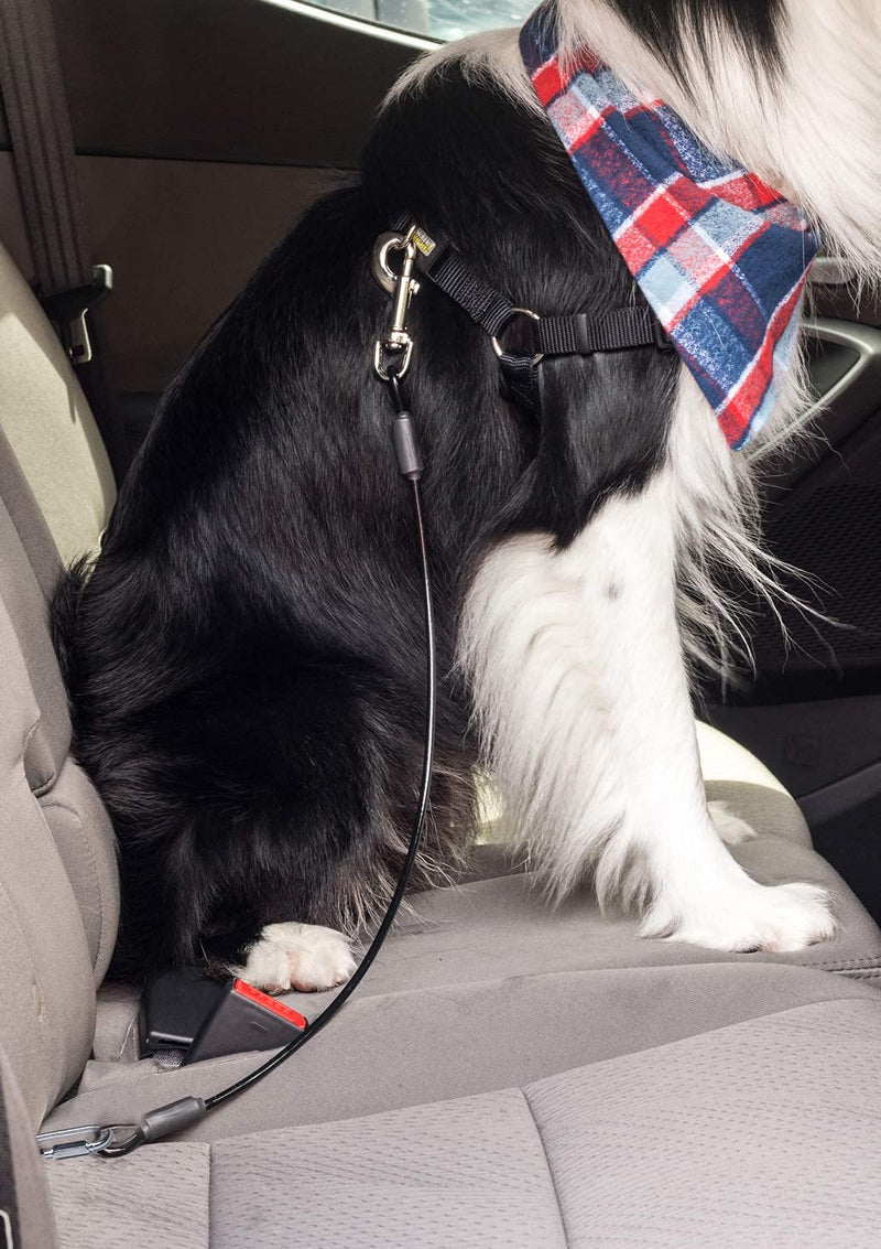 Leash Boss Dog Car Seat Belt Restraint - No-Chew Heavy Duty Car Seatbelt for Pets - 5 Sizes - Coated Steel Rope to Prevent Chewing 16 In - PawsPlanet Australia