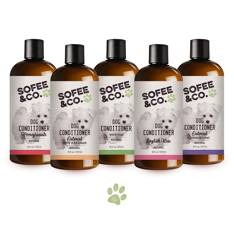 [Australia] - Sofee & Co. Natural Dog Puppy Shampoo - Clean Moisturize Deodorize Detangle Soothe Soften Normal Dry Itchy Flaky Allergy Sensitive Skin. Prevent Mattes. 16 oz Pomegranate 