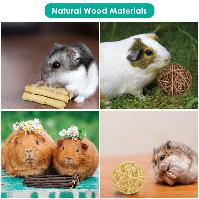 ERKOON New 12 Pack Hamster Chew Toys Gerbil Rat Guinea Pig Chinchilla Chew Toys Accessories, Natural Wooden Dumbbells Exercise Bell Roller Teeth Care Molar Toy for Rabbits Bird Rabbits Hamster Gerbil - PawsPlanet Australia