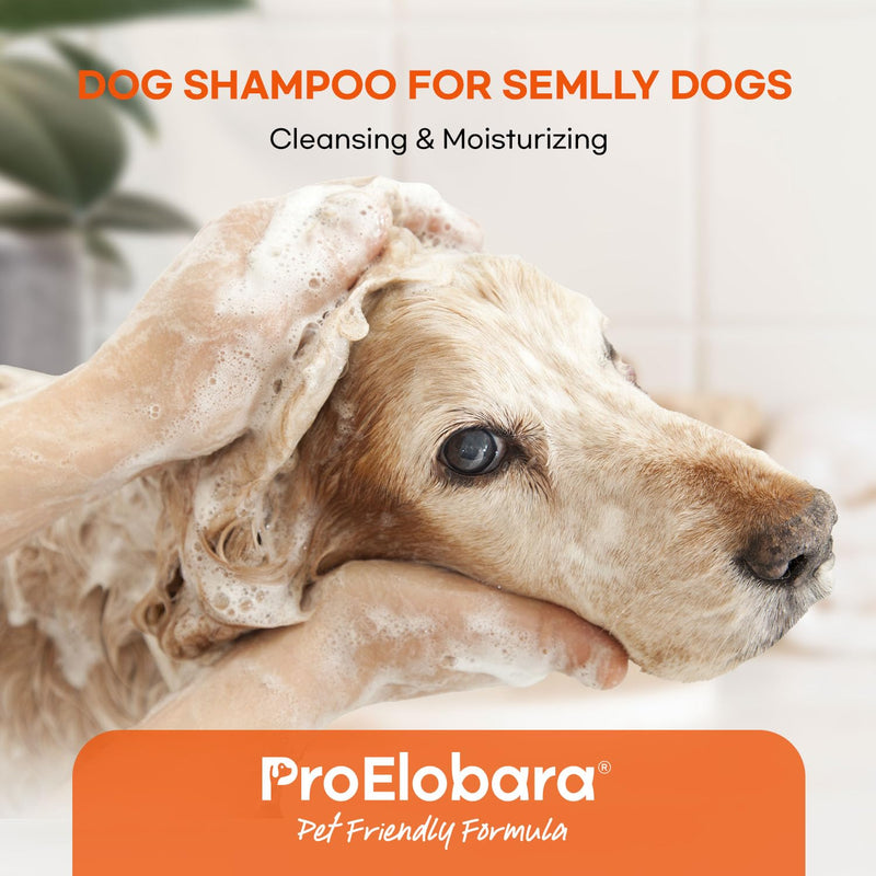 ProElobara Dog Shampoo Allergy Itch: Effective Deodorizing Dog Shampoo for Smelly Dogs Anti Itch Shampoo - Soothes Dry Itchy Irritated Skin Reduces Hot Spots Helps Shedding 16.9fl.oz/500ml - PawsPlanet Australia