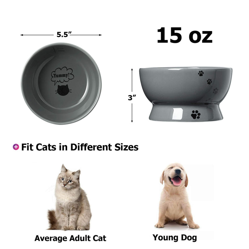 Y YHY Cat Bowl, 15 Ounce Cat Water Bowl, Raised Ceramic Cat Food Bowl, Elevated Cat Dog Dish No Spill, Pet Bowls for Cats or Small Dogs, Anti Vomiting, Measurable, Grey Blue - PawsPlanet Australia