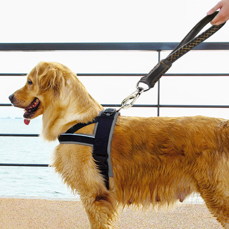 [Australia] - LOOYUAN 12" Dog Short Leash Lead -Heavy Duty for Puppy Small Medium Large Dogs Black 