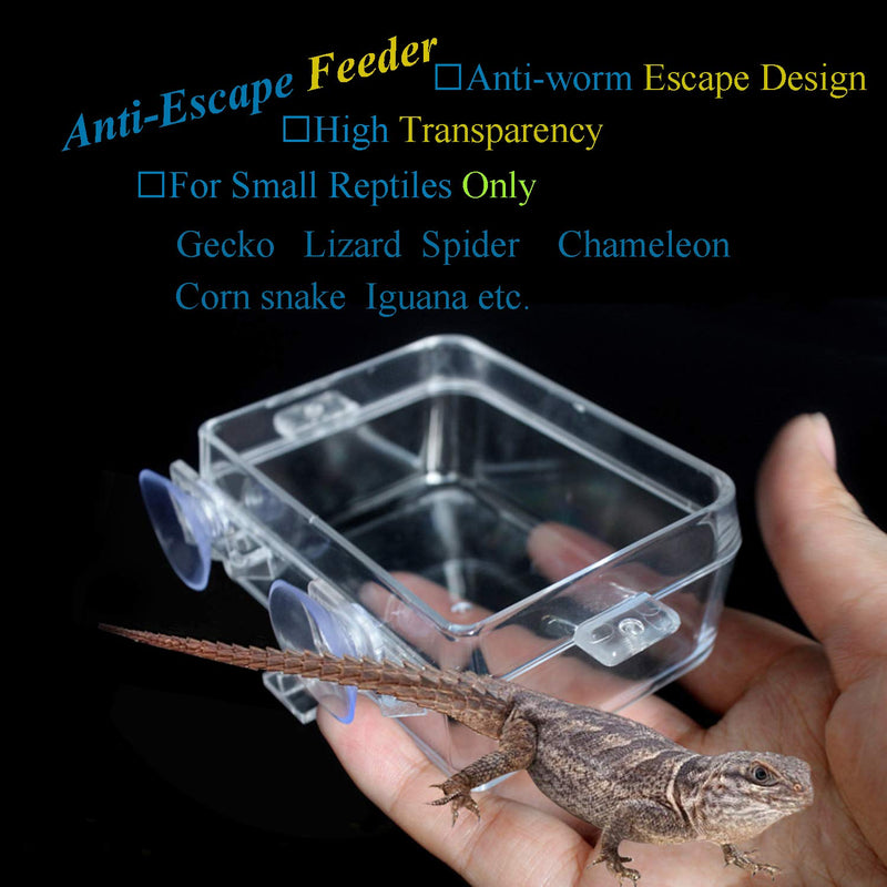 Fuongee Reptile Gecko Feeder Dish Bowl Chameleon Worm Anti-Escape Bowl Suction Cup Feeder for Reptiles, 1 Feeder and 2 Feeding Tong - PawsPlanet Australia