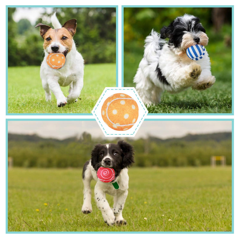 [Australia] - AMA SPORT Pet Dog Squeak Toy Tennis Balls for Dogs Size 2.0,2.5 4.0 inch-2/4/12 Balls Pack Dog Sensitive Colour for Small Puppy to Large Dogs,Chewers 204 