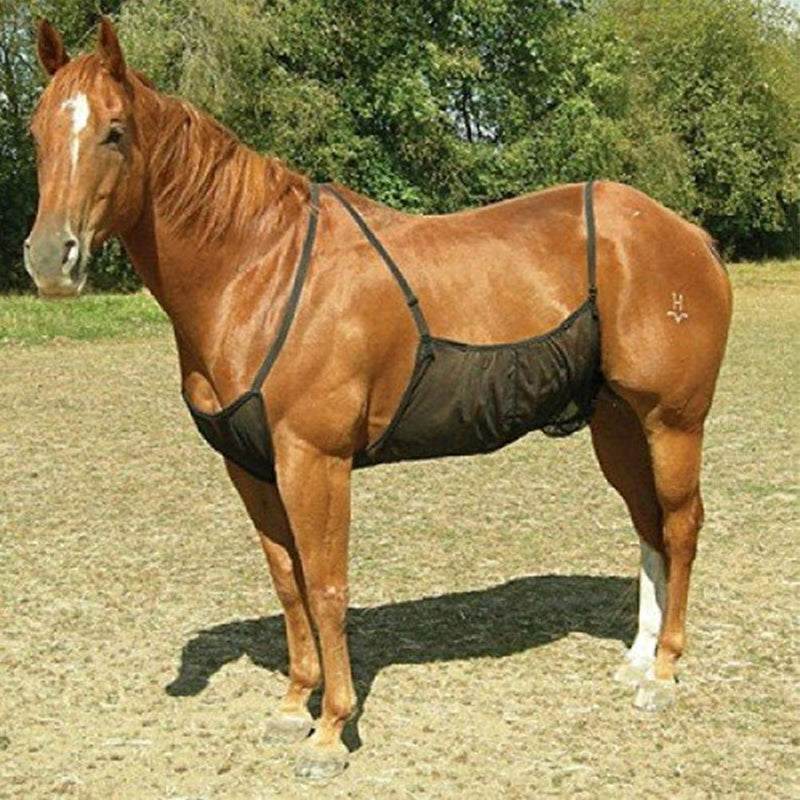 Xpccj Horse Fly Sheet Mesh Belly Guard Protection Cover for Horse Airflow Mesh Bellyband Anti-mosquito Insects for Adult Horse Abdomen, 94x71cm - PawsPlanet Australia