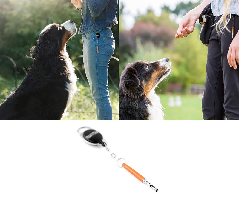 Mighty Paw Training Whistle, Silent Dog Whistle with Retractable Belt Attachment and Neck Lanyard, No Bark Dog Training Tool for Obedience and Recall Orange - PawsPlanet Australia