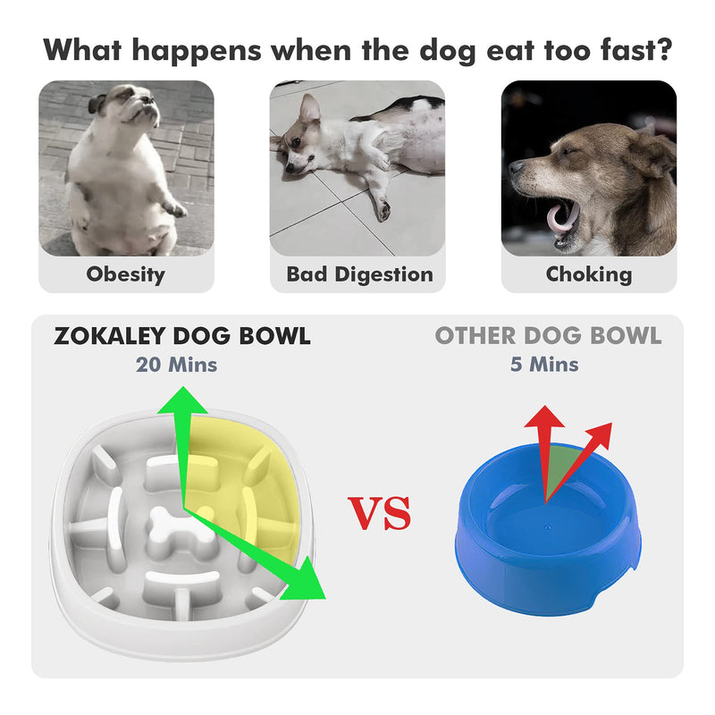 Dog Slow Feeder Bowl-Slow Feeder Dog Bowl for Small/Medium Dogs,3 Cups,for Dog Pet Slow Feeder A-White-1 - PawsPlanet Australia