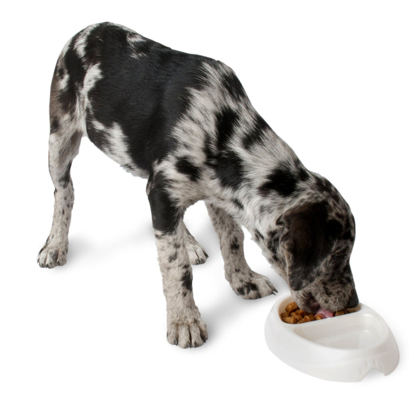 [Australia] - Petmate Ultra Lightweight Double Diner Pet Bowl 1 CUP 