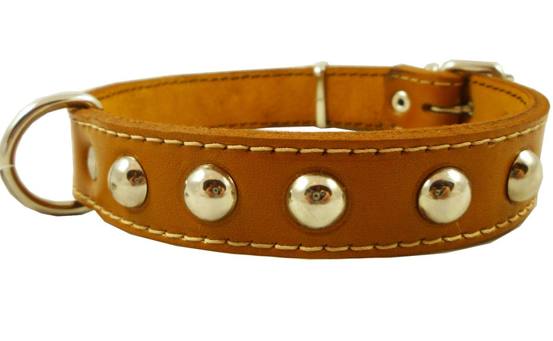 [Australia] - Genuine 1" Wide Thick Leather Studded Dog Collar. Fits 14"-17" Neck, Medium Breeds. 