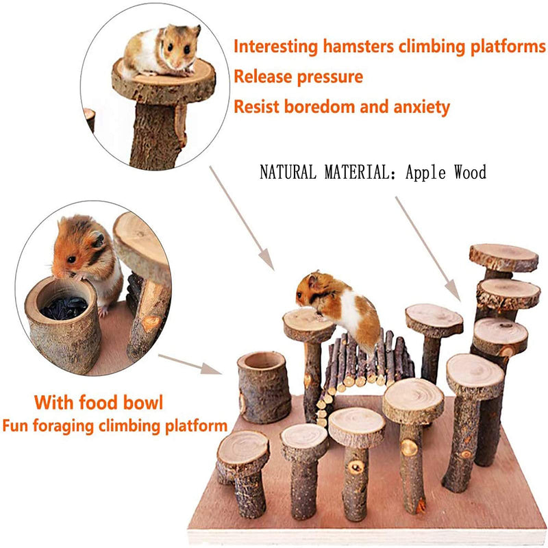 Wooden Hamster Platform Toy Chinchilla Activity Playground Stand Ladder Guinea Pigs Hideout Set Bridge Ramps Chew Toys for Mouse Dwarf Hamster Gerbil Rat Sugar Glider Syrian Hamster Small Animals - PawsPlanet Australia