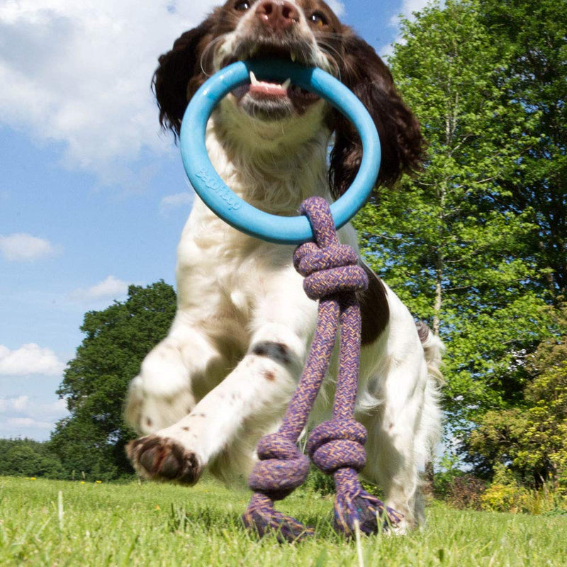 Beco Pets Hoop on Rope - Natural Rubber Hoop and Cotton Rope Tug and Chew Toy for Dogs - S - Pink - PawsPlanet Australia