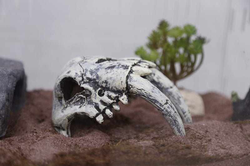 Reptiles-Amphibians Habitat-Hideaway Hideouts Aquarium-Decorations - Dinosaur Imitation Skull Model Gary Tiger - PawsPlanet Australia