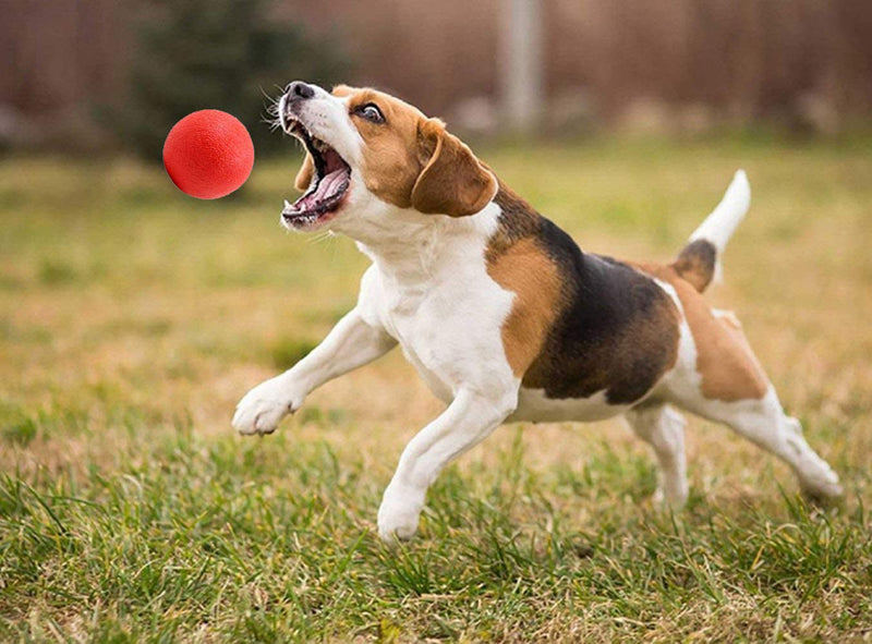 Panlom 3 Pack Dog Balls Indestructible - 100% Natural Rubber Dog Ball Non-Toxic Tough Toy for Small Medium Large Dog Medium 3 Pack - PawsPlanet Australia