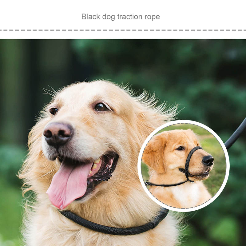 Dog Leash Slip Lead Training Leash Pet Harnesses Leashes Strong Braided Rope for Large Medium Dogs Small Puppies Black - PawsPlanet Australia