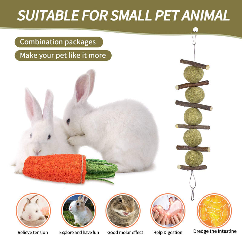 Rabbit Chew Toys, Improve Dental Health, No Glue, 100% Natural Materials by Handmade. Loofa Carrot Toys, Licorice Balls and Apple Sticks Toys. for Rabbits, Chinchillas, Guinea Pigs, Hamsters - 2 - PawsPlanet Australia